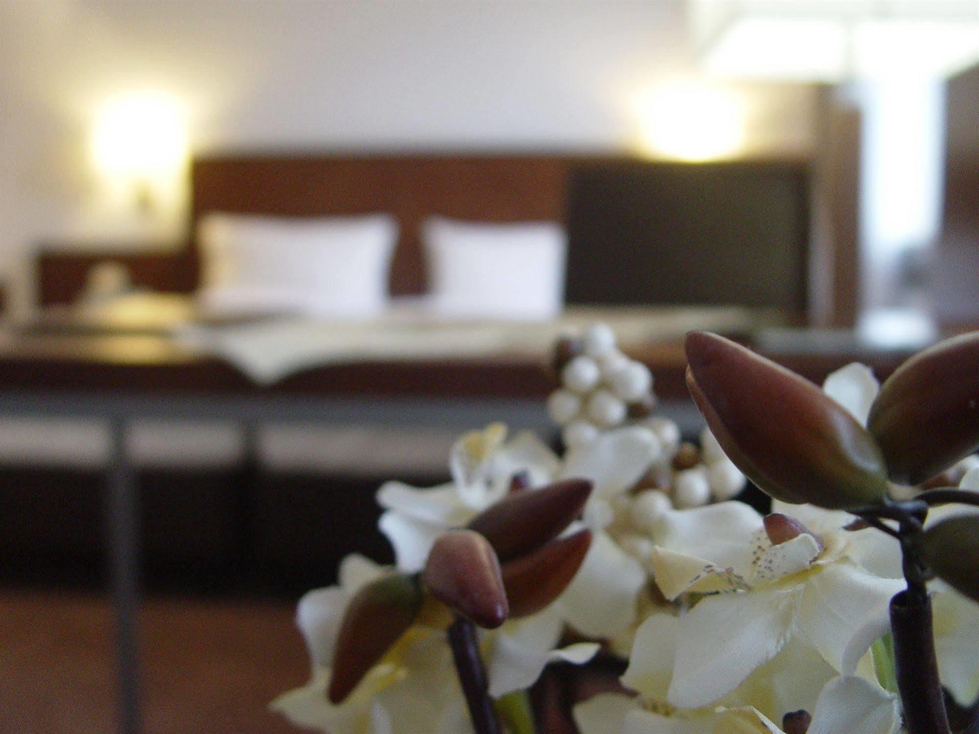 Hotel Zum Adler ボン エクステリア 写真
